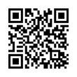 QR Code (код быстрого отклика)