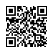 QR Code (код быстрого отклика)