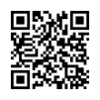 QR Code (код быстрого отклика)