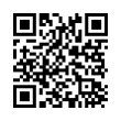 QR Code (код быстрого отклика)