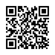 QR Code (код быстрого отклика)