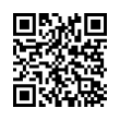 QR Code (код быстрого отклика)