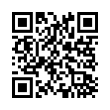 QR Code (код быстрого отклика)