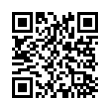 QR Code (код быстрого отклика)