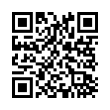 QR Code (код быстрого отклика)