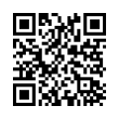 QR Code (код быстрого отклика)