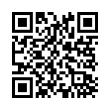 QR Code (код быстрого отклика)