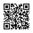 QR Code (код быстрого отклика)