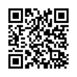 QR Code (код быстрого отклика)