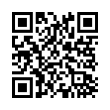 QR Code (код быстрого отклика)