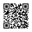 QR Code (код быстрого отклика)