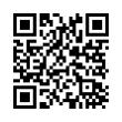 QR Code (код быстрого отклика)