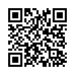 QR Code (код быстрого отклика)