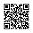 QR Code (код быстрого отклика)