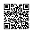 QR Code (код быстрого отклика)