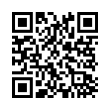 QR Code (код быстрого отклика)