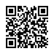 QR Code (код быстрого отклика)