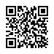 QR Code (код быстрого отклика)