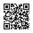 QR Code (код быстрого отклика)