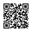 QR Code (код быстрого отклика)