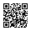 QR Code (код быстрого отклика)