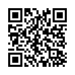 QR Code (код быстрого отклика)