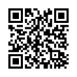 QR Code (код быстрого отклика)