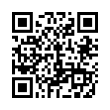 QR Code (код быстрого отклика)