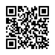 QR Code (код быстрого отклика)