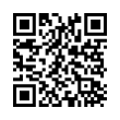 QR Code (код быстрого отклика)