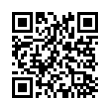 QR Code (код быстрого отклика)