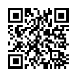 QR Code (код быстрого отклика)