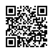 QR Code (код быстрого отклика)