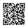 QR Code (код быстрого отклика)