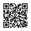 QR Code (код быстрого отклика)