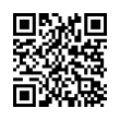 QR Code (код быстрого отклика)