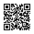 QR Code (код быстрого отклика)