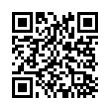 QR Code (код быстрого отклика)