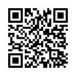 QR Code (код быстрого отклика)